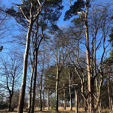 Liseleje Pa Naturgrund Apartment