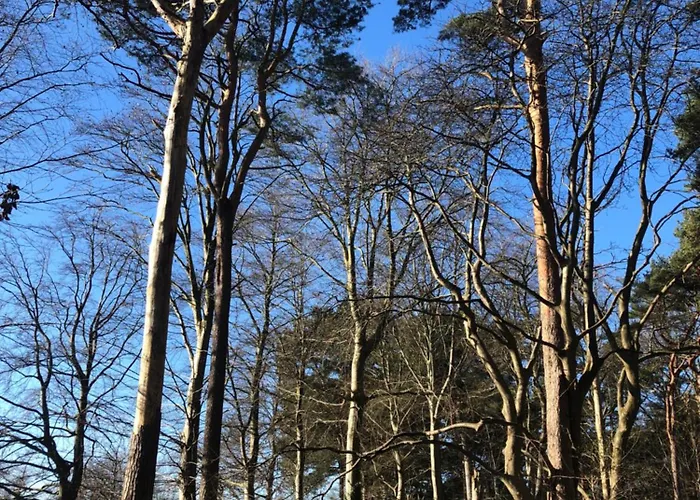 Liseleje Pa Naturgrund アパート